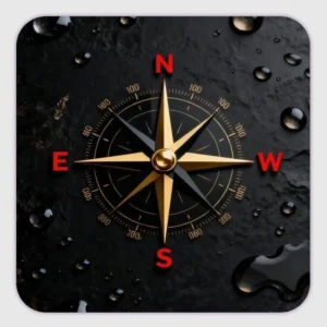 Compass customized fridge magnets